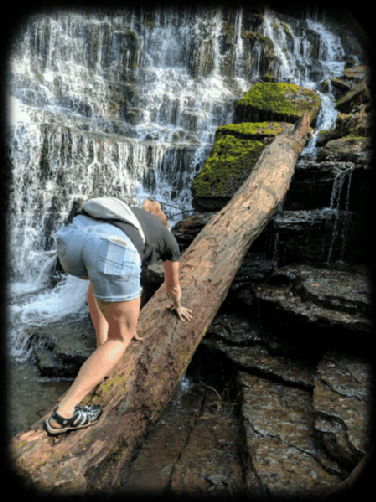 Climbing Trees (things grownups probably shouldn't do)