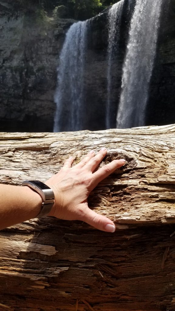 Hiking to the base of Cane Creek Falls
