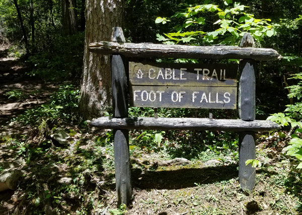Cable Trail at Fall Creek Falls
