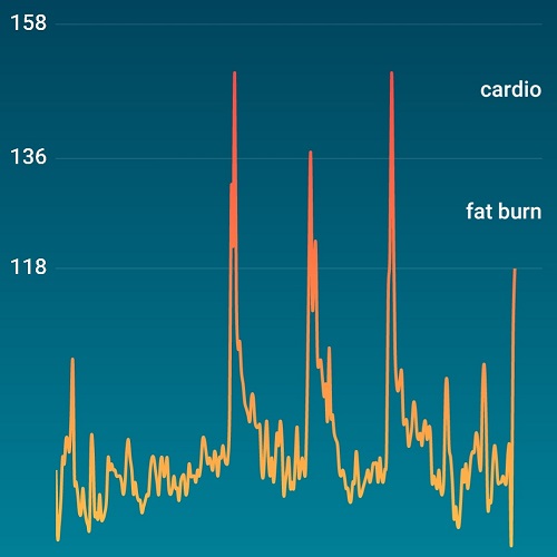 Covid Long Hauler Heart Rate