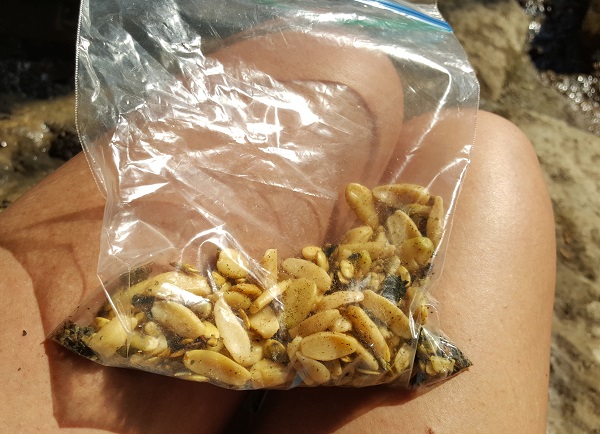 Low Carb Foods for Hiking