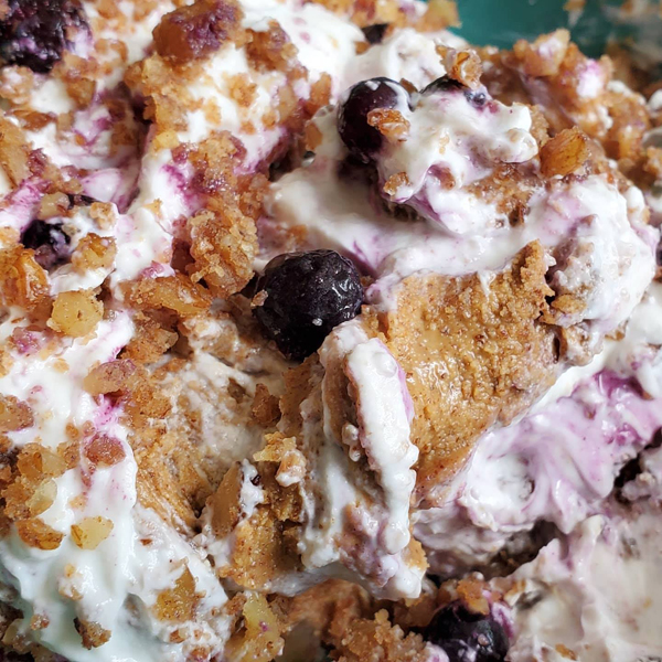 Low Carb Frozen Yogurt