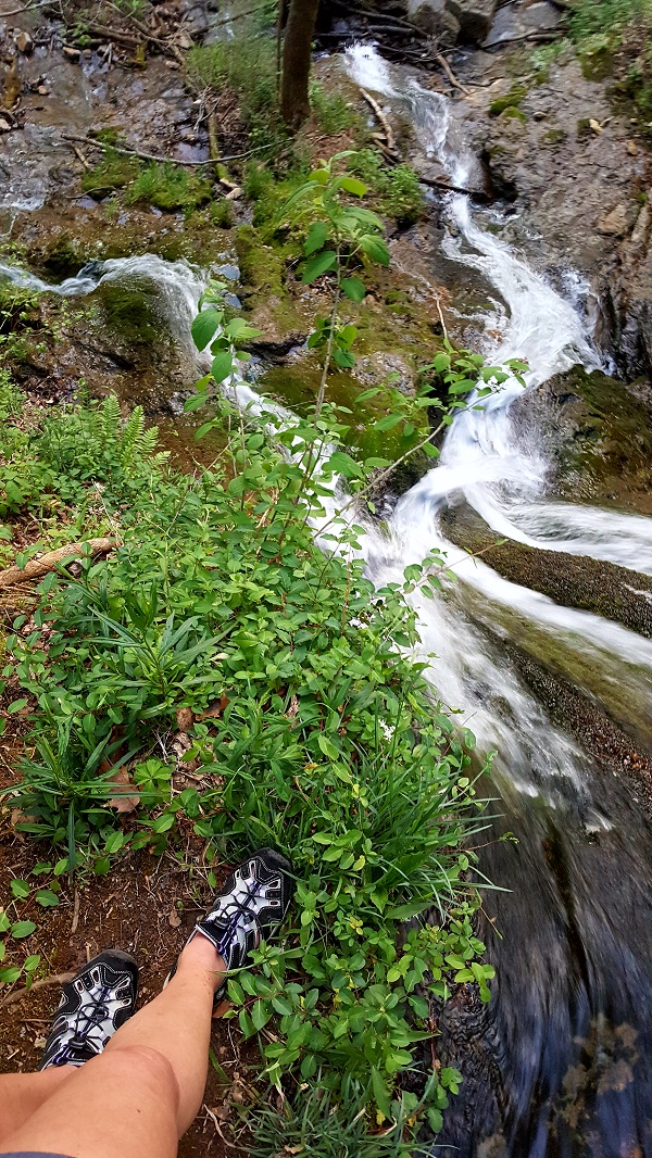 A view from the top of Little Falls at Rock Island, TN