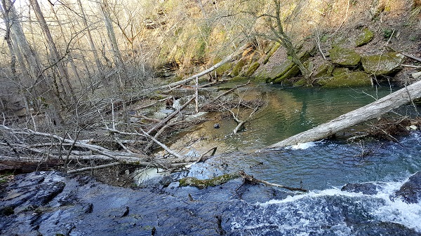 Tornado Damage at Short Springs State Natural Area, Tullahoma TN