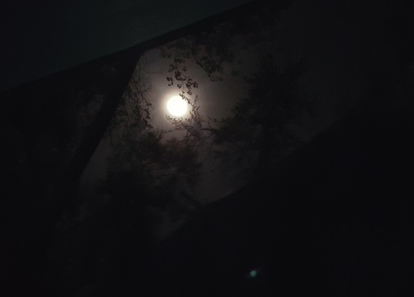 Full Moon Camping - View From The Tent