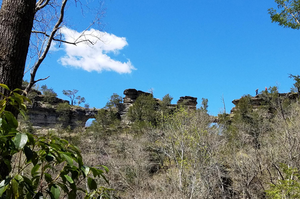 Window Cliffs State Natural Area - TN Hiking