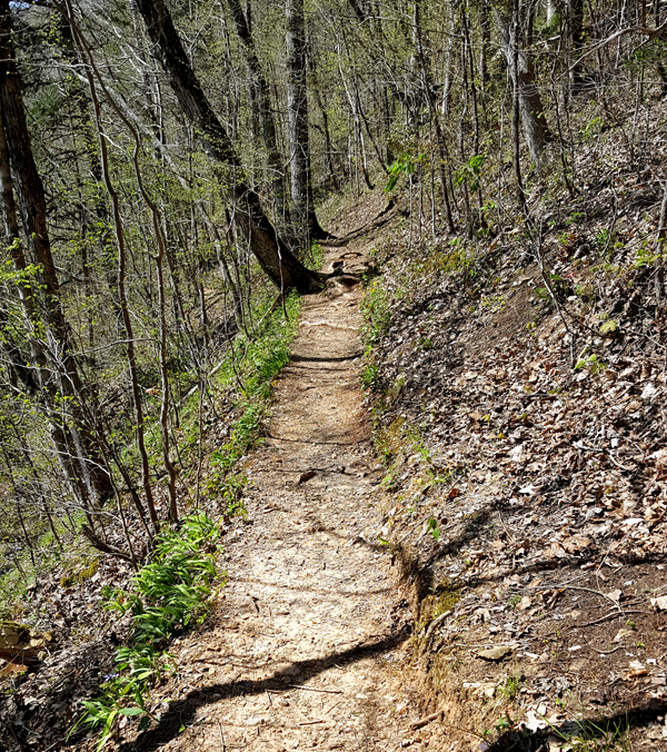 Tales from the Trails - Hiking Insights