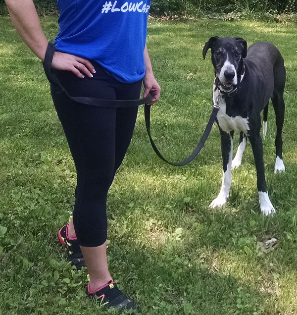 Fabletics Workout Pants are super comfortable!!