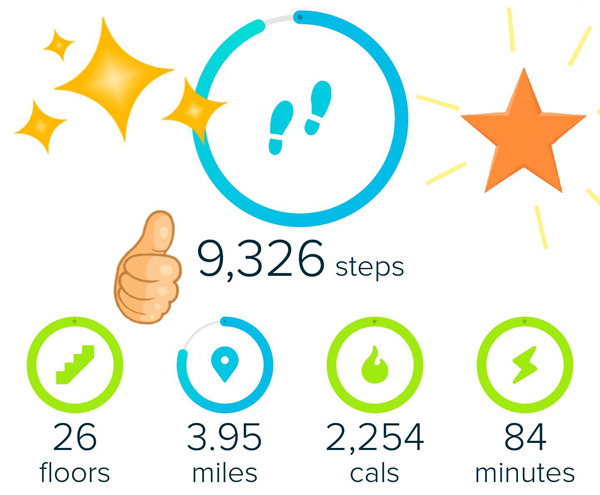 Fitbit Fitness Hiking