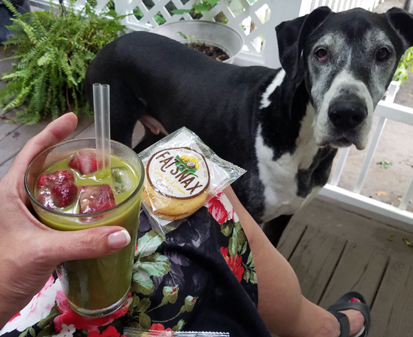 Iced Matcha Tea - Keto Fruit Tea Ideas with MCT