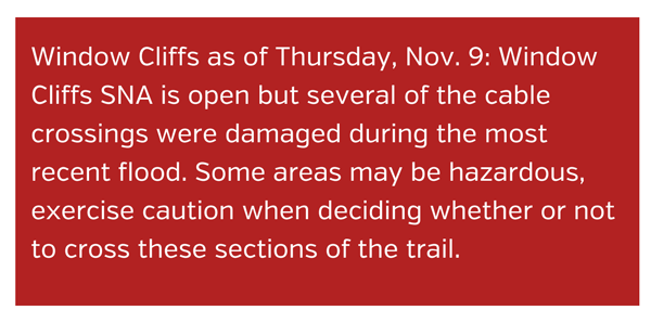 Window Cliffs Warning
